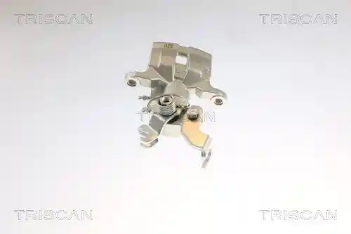 TRISCAN 8175 50201