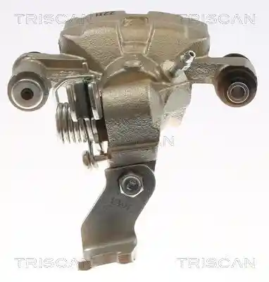 TRISCAN 8175 50207