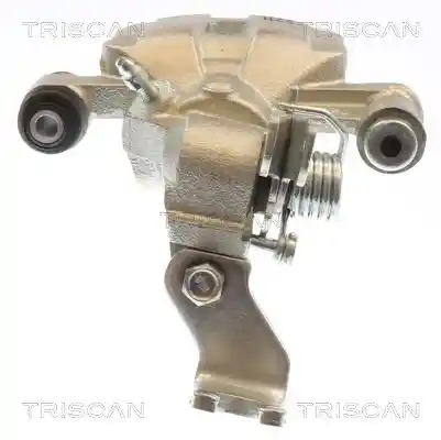 TRISCAN 8175 50208