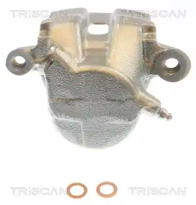 TRISCAN 8175 69107