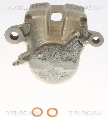 TRISCAN 8175 69108