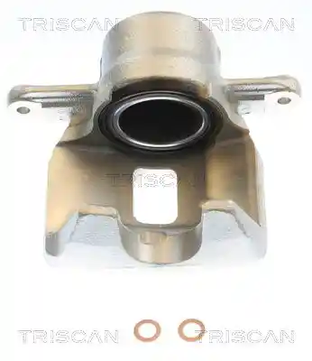 TRISCAN 8175 69111
