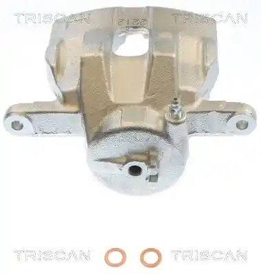 TRISCAN 8175 69111