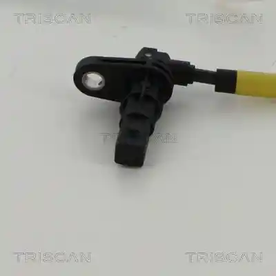 TRISCAN 8180 43405