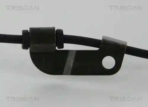 TRISCAN 8180 50202