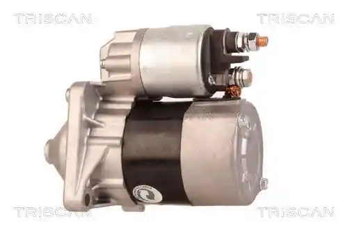 TRISCAN 8305 10005
