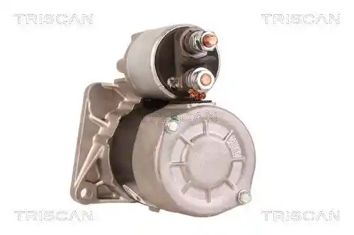 TRISCAN 8305 10005