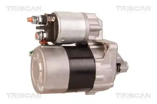 TRISCAN 8305 10005