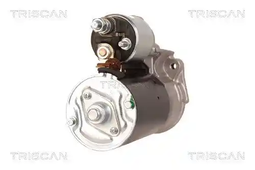 TRISCAN 8305 10006