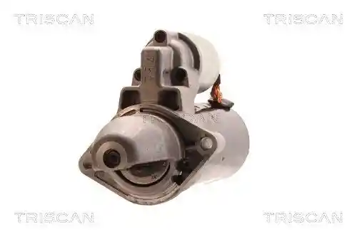 TRISCAN 8305 10008 TRISCAN 8305 10008