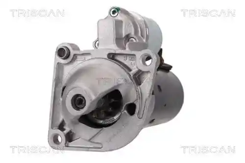 TRISCAN 8305 10011