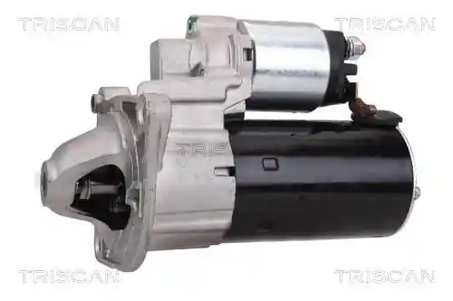 TRISCAN 8305 10011