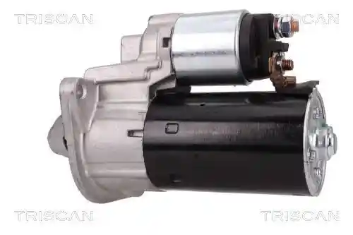 TRISCAN 8305 10011