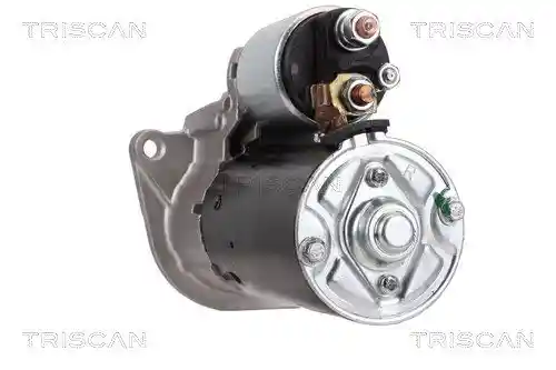 TRISCAN 8305 10011