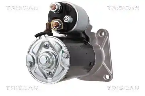 TRISCAN 8305 10011