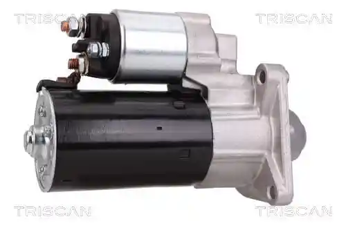TRISCAN 8305 10011