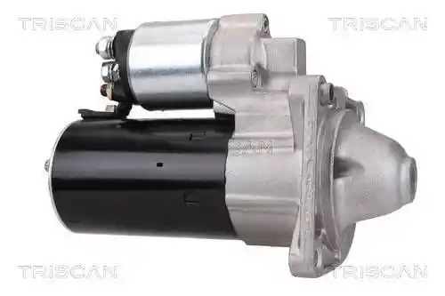 TRISCAN 8305 10011