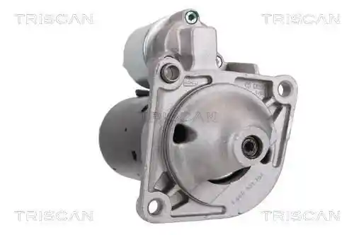 TRISCAN 8305 10011