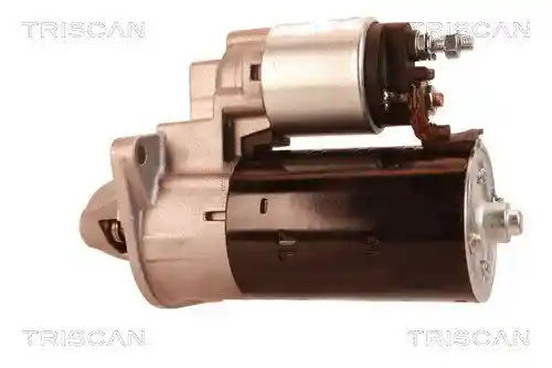 TRISCAN 8305 10012 TRISCAN 8305 10012