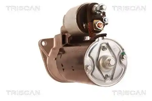 TRISCAN 8305 10012 TRISCAN 8305 10012