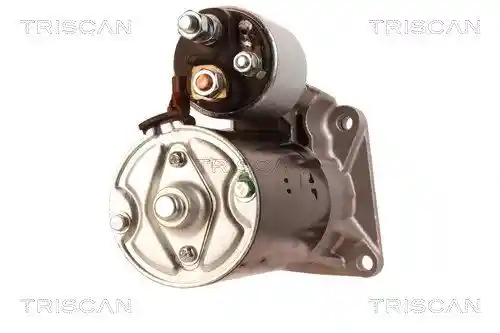 TRISCAN 8305 10012 TRISCAN 8305 10012