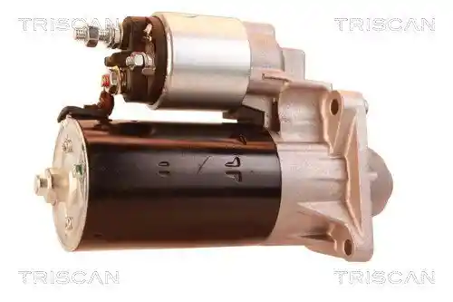 TRISCAN 8305 10012 TRISCAN 8305 10012