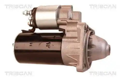 TRISCAN 8305 10012 TRISCAN 8305 10012
