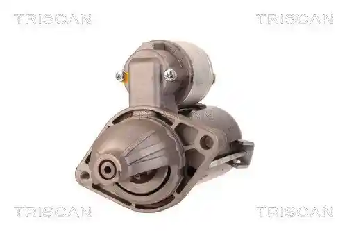 TRISCAN 8305 10013 TRISCAN 8305 10013