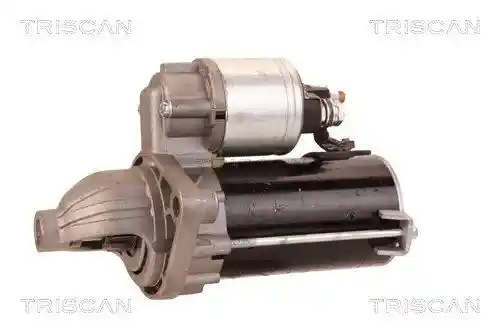TRISCAN 8305 10013 TRISCAN 8305 10013