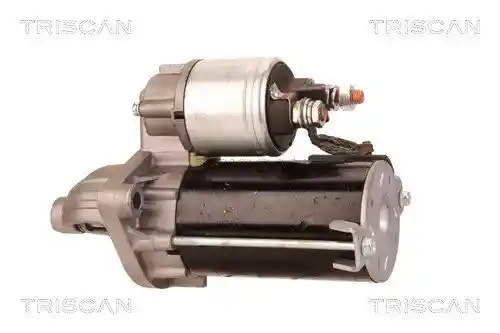 TRISCAN 8305 10013 TRISCAN 8305 10013