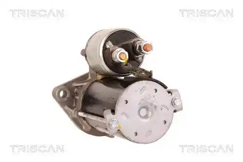TRISCAN 8305 10013 TRISCAN 8305 10013