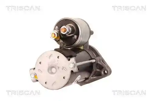 TRISCAN 8305 10013 TRISCAN 8305 10013
