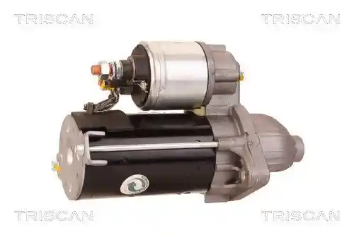 TRISCAN 8305 10013 TRISCAN 8305 10013