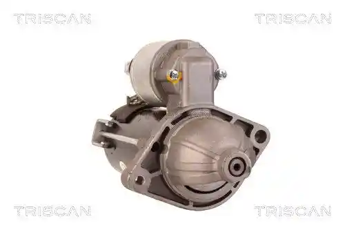 TRISCAN 8305 10013 TRISCAN 8305 10013