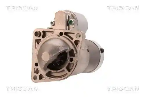 TRISCAN 8305 10021