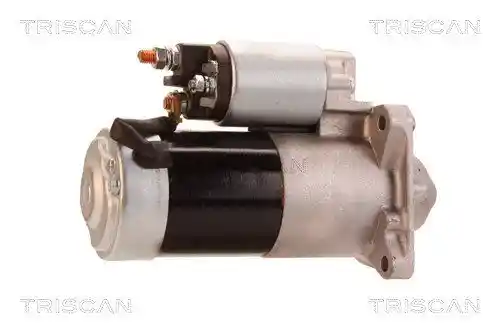 TRISCAN 8305 10021
