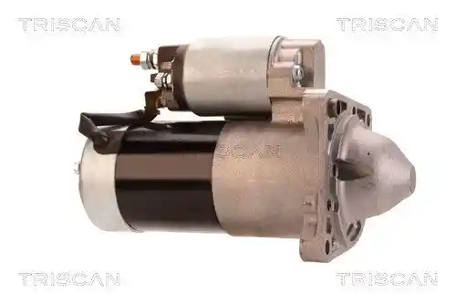 TRISCAN 8305 10021