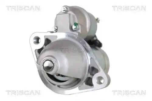 TRISCAN 8305 10024