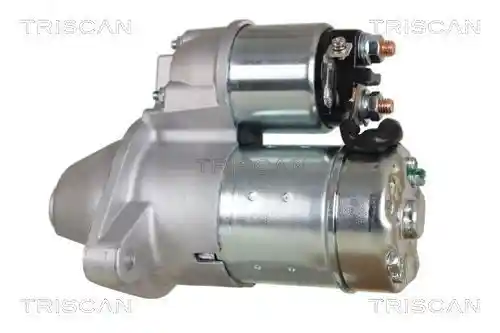 TRISCAN 8305 10024