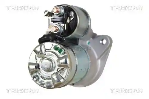 TRISCAN 8305 10024