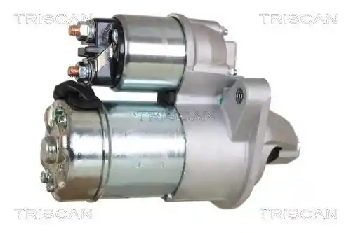 TRISCAN 8305 10024
