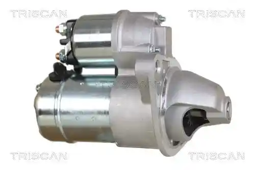TRISCAN 8305 10024