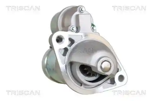 TRISCAN 8305 10024