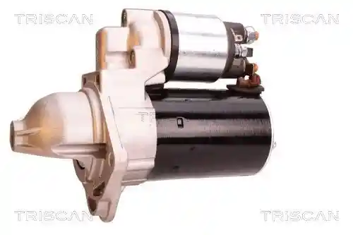 TRISCAN 8305 10027
