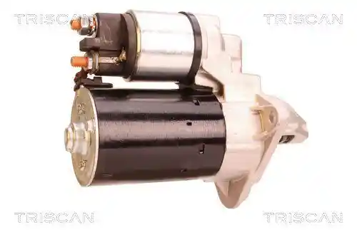 TRISCAN 8305 10027