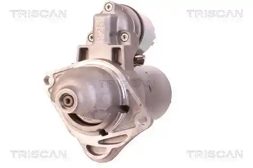 TRISCAN 8305 10028