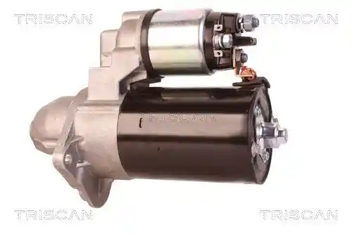 TRISCAN 8305 10028