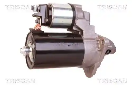 TRISCAN 8305 10028