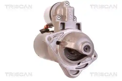 TRISCAN 8305 10028