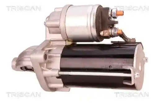 TRISCAN 8305 10029